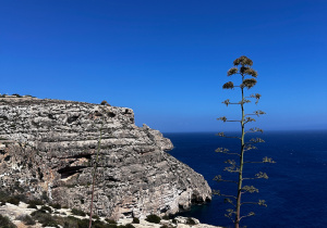 Blue Grotto