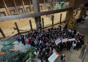 Grupowe zdjęcie przy wybiegu słoni