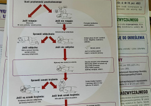Zakup pomocy naukowych Edukacja dla Bezpieczeństwa