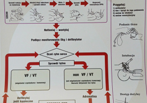 Zakup pomocy naukowych Edukacja dla Bezpieczeństwa